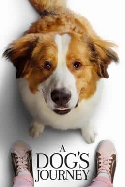 A Dog’s Journey (2019) หมา เป้าหมาย และเด็กชายของผม 2
