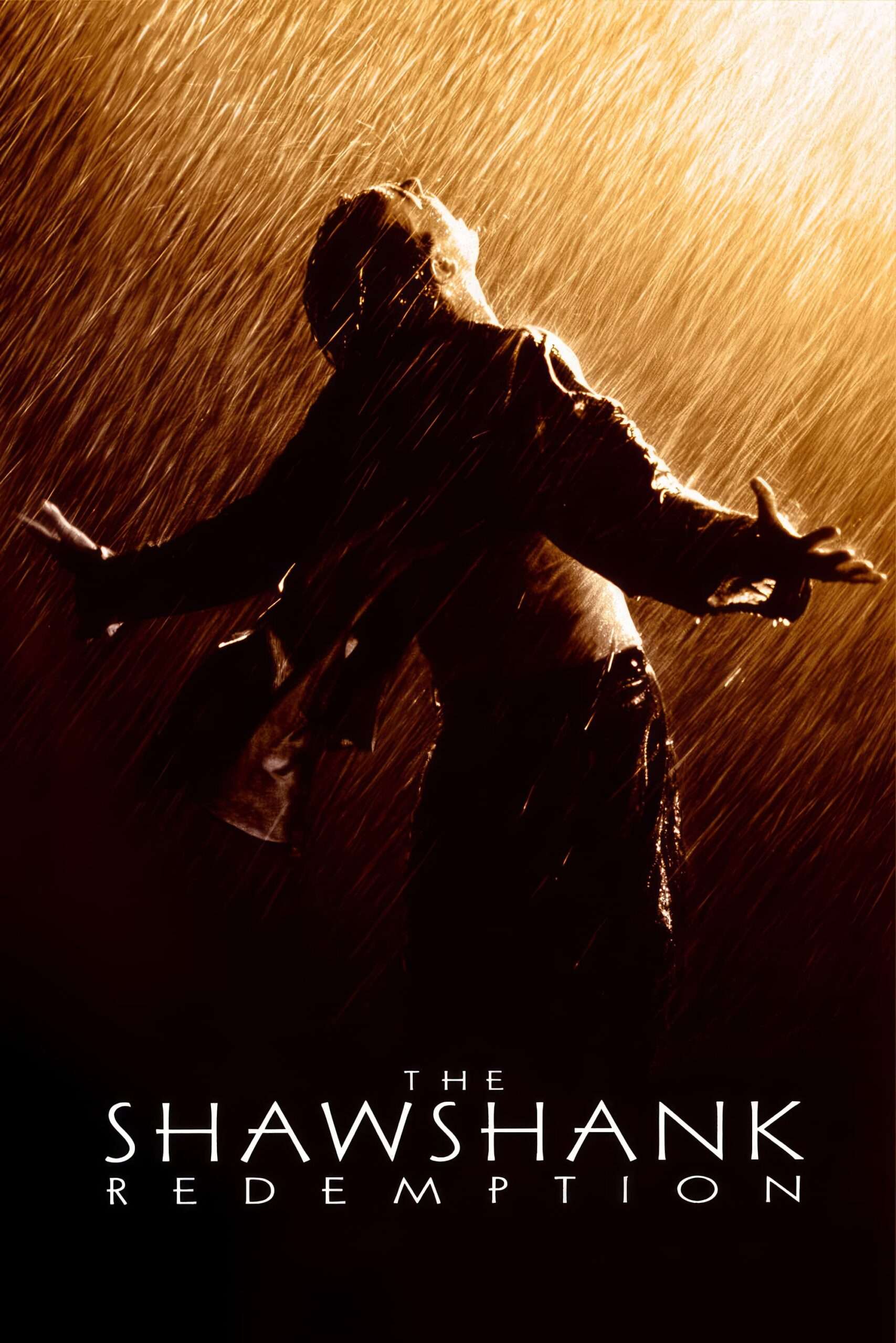The Shawshank Redemption (1994) มิตรภาพ ความหวัง ความรุนแรง